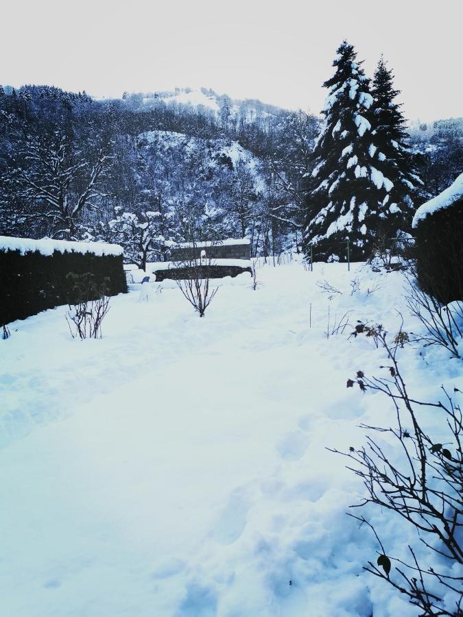 Carpe Diem - cote-montagnes Oderen Esterno foto