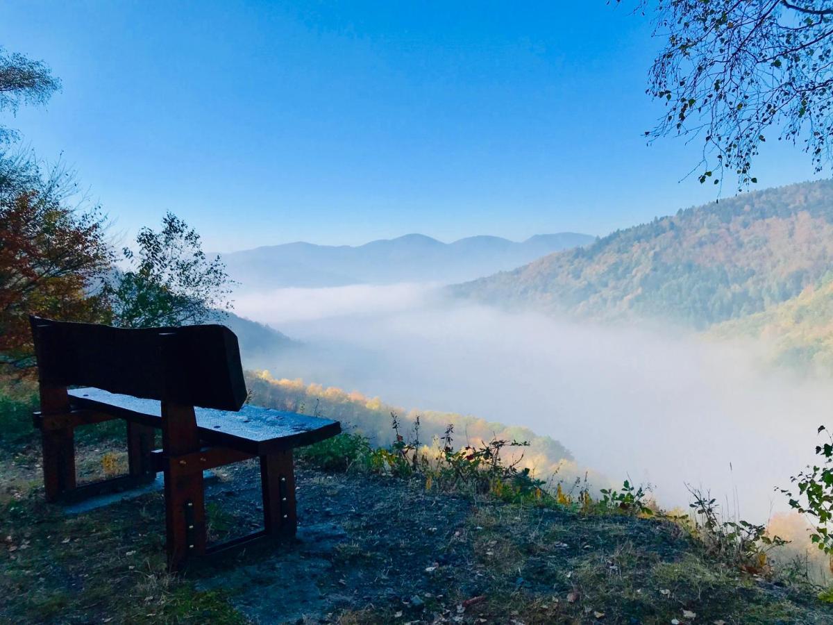 Carpe Diem - cote-montagnes Oderen Esterno foto